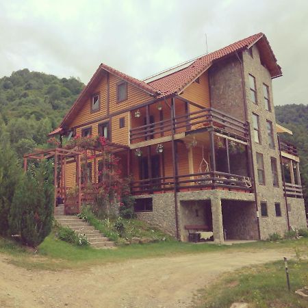 Cabana Soarelui Retezat Nucsoara  Extérieur photo