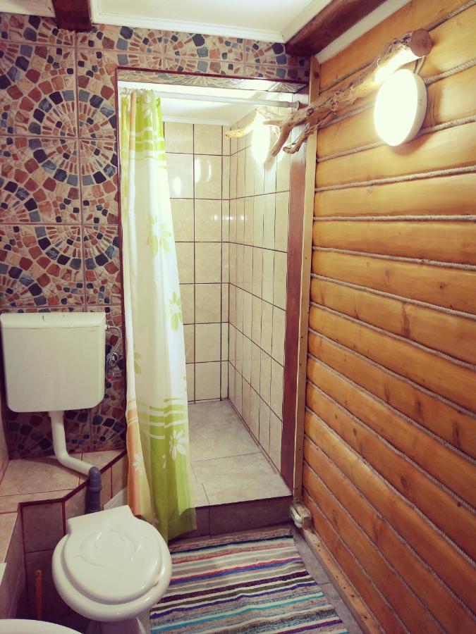 Cabana Soarelui Retezat Nucsoara  Extérieur photo