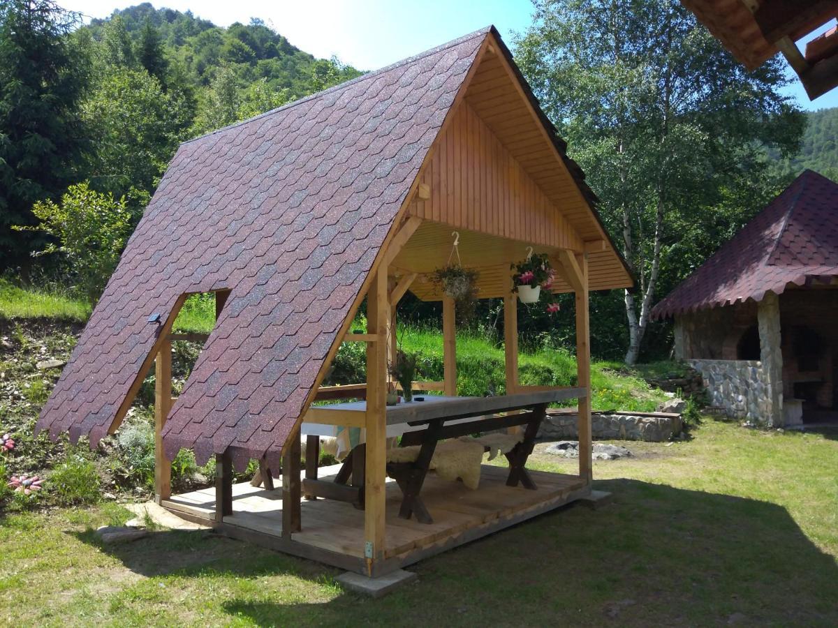 Cabana Soarelui Retezat Nucsoara  Extérieur photo