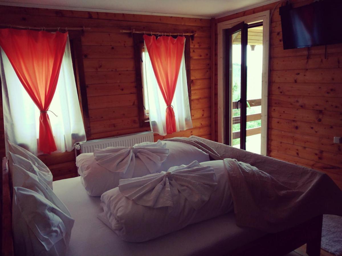Cabana Soarelui Retezat Nucsoara  Extérieur photo