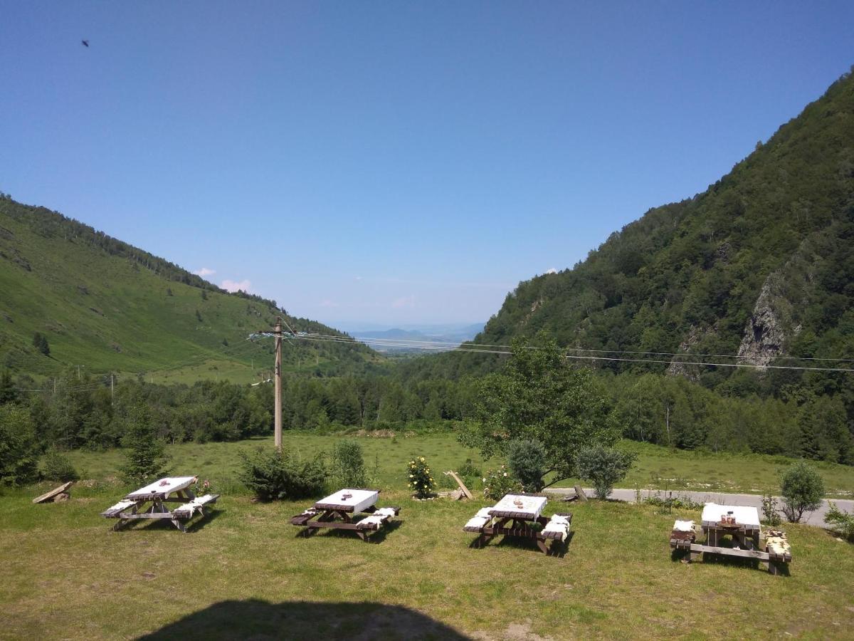 Cabana Soarelui Retezat Nucsoara  Extérieur photo