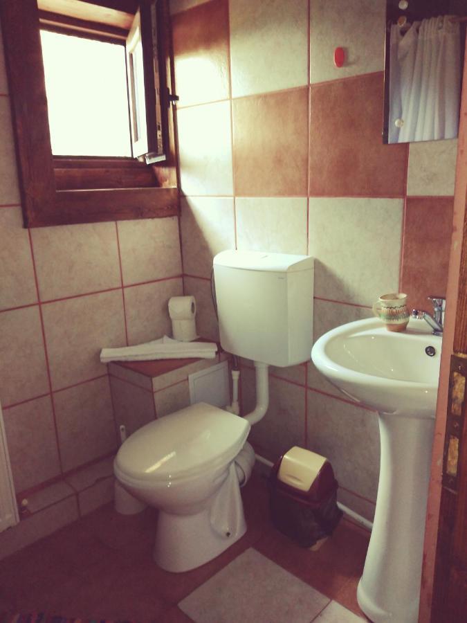 Cabana Soarelui Retezat Nucsoara  Extérieur photo
