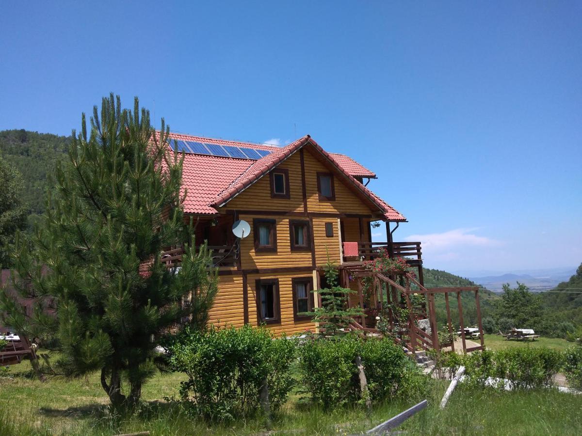Cabana Soarelui Retezat Nucsoara  Extérieur photo