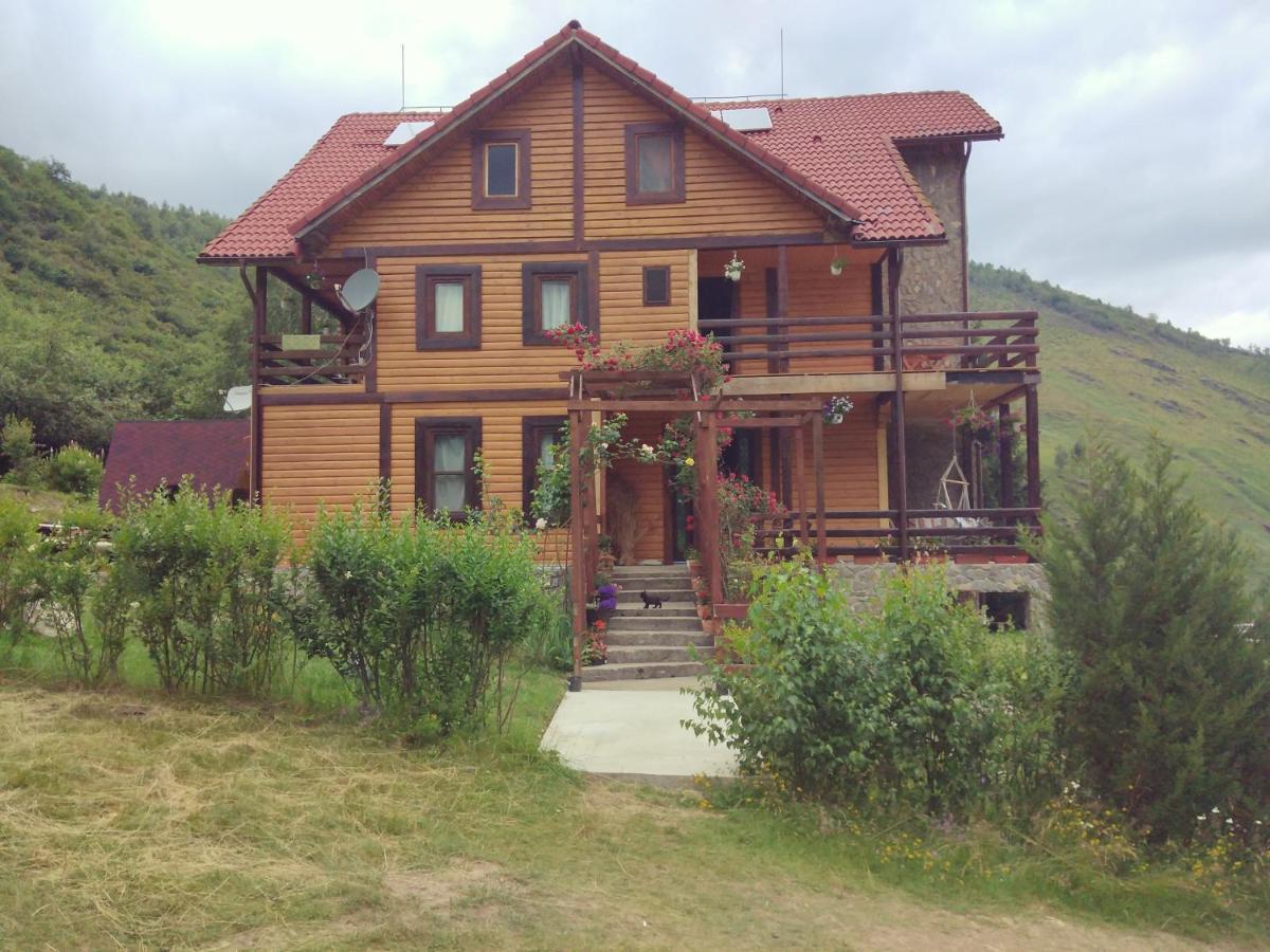 Cabana Soarelui Retezat Nucsoara  Extérieur photo
