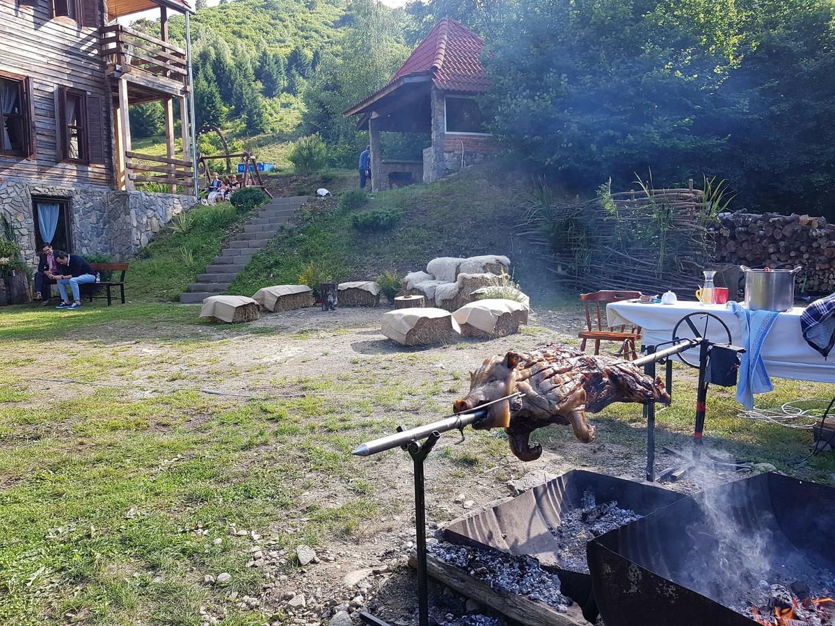 Cabana Soarelui Retezat Nucsoara  Extérieur photo